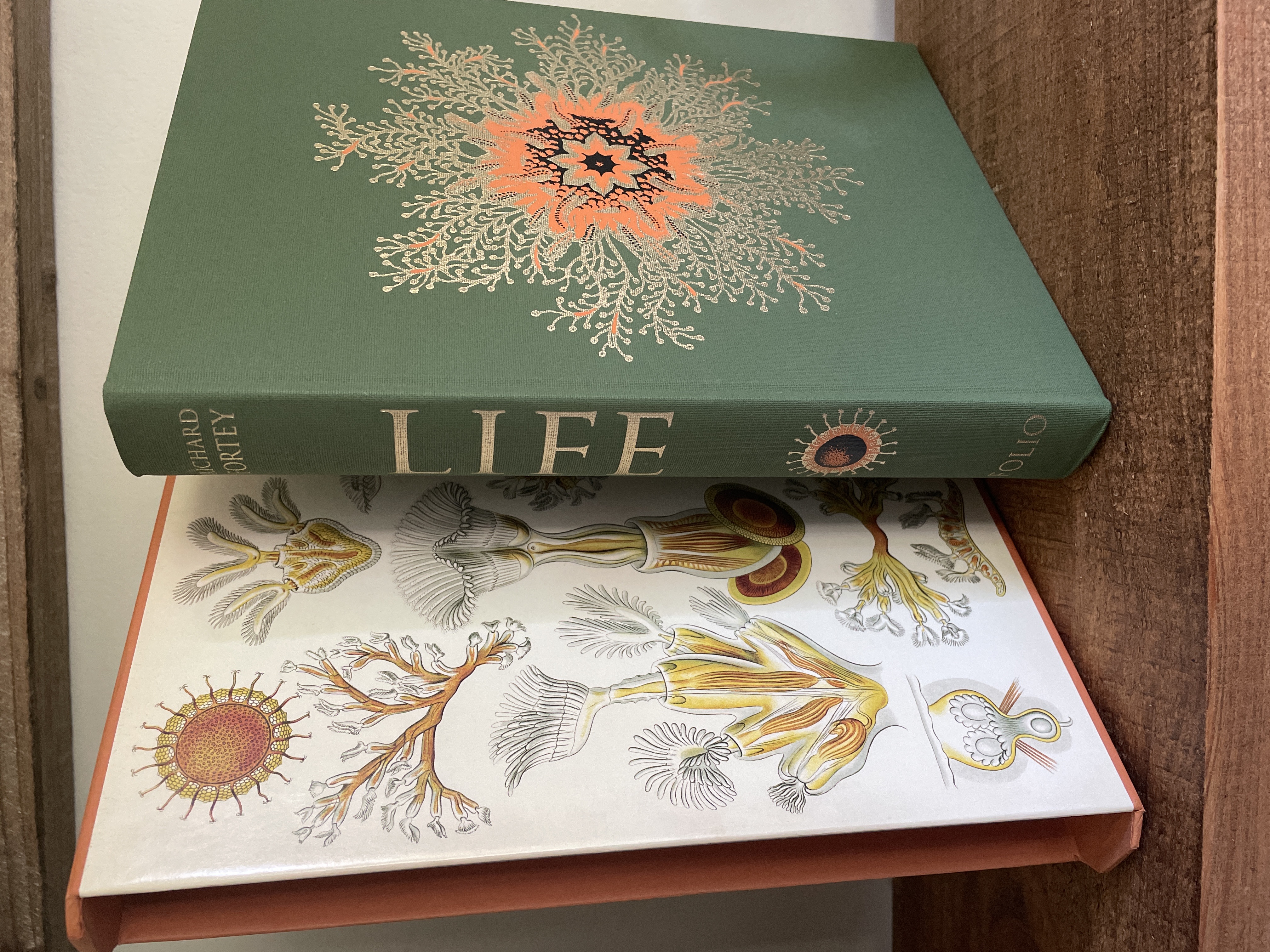 LIFE: AN UNAUTHORISED BIOGRAPHY, A NATURAL HISTORY OF THE FIRST