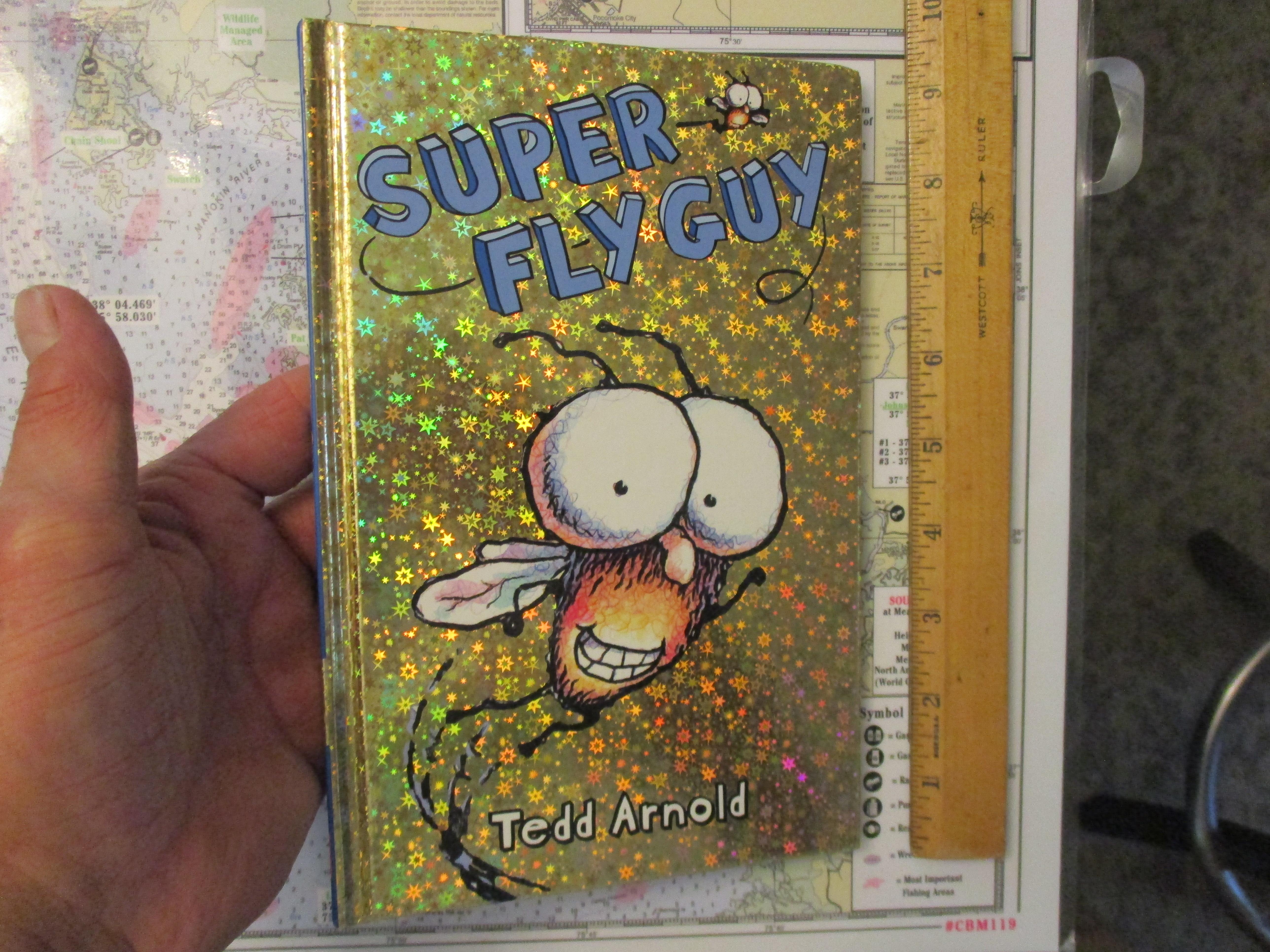 Super Fly Guy by Arnold, Tedd: Good Hardcover (2006) 1st Edition