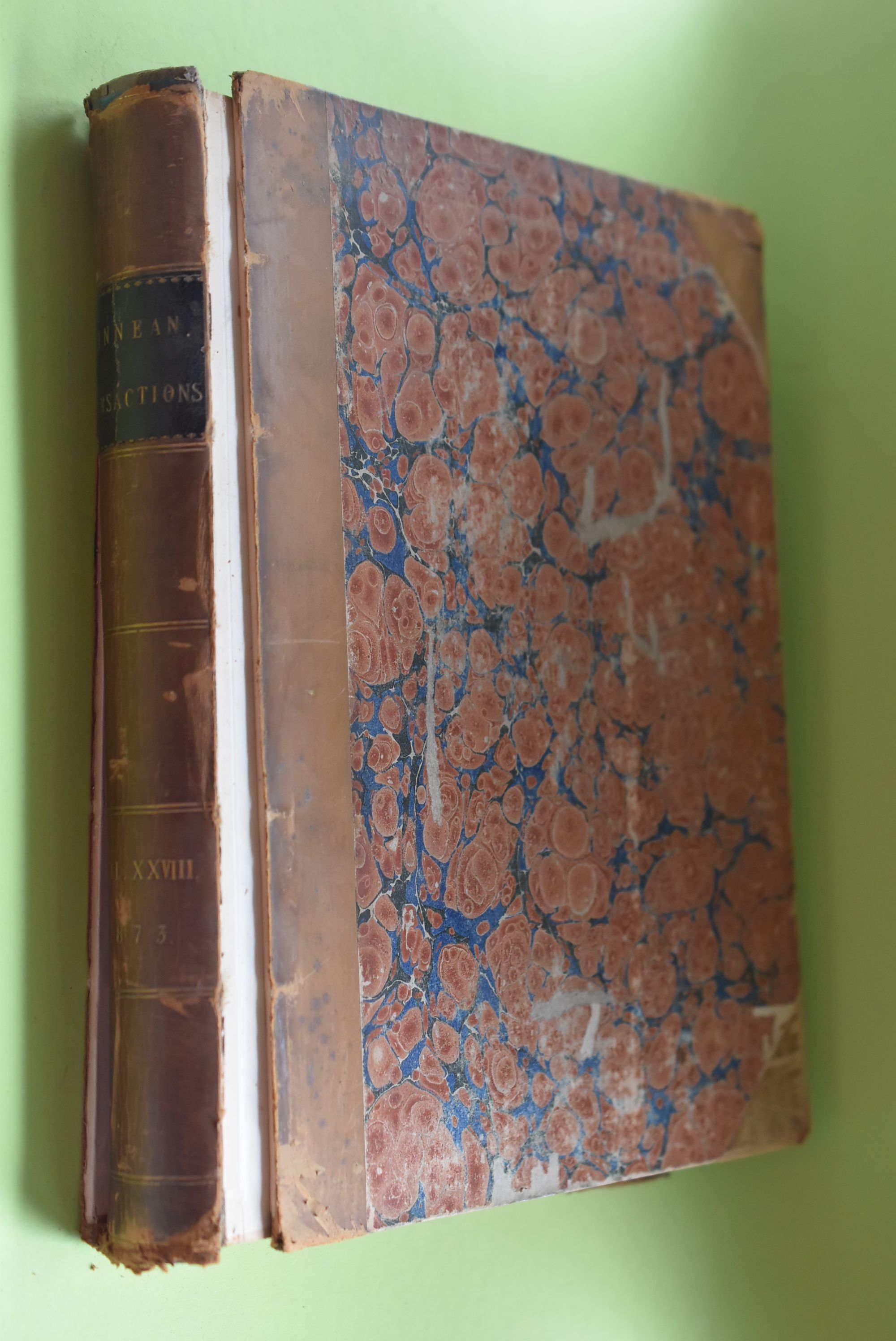 The Transactions of The Linnean Society of London. Volume XXVIII - Diverse Autoren