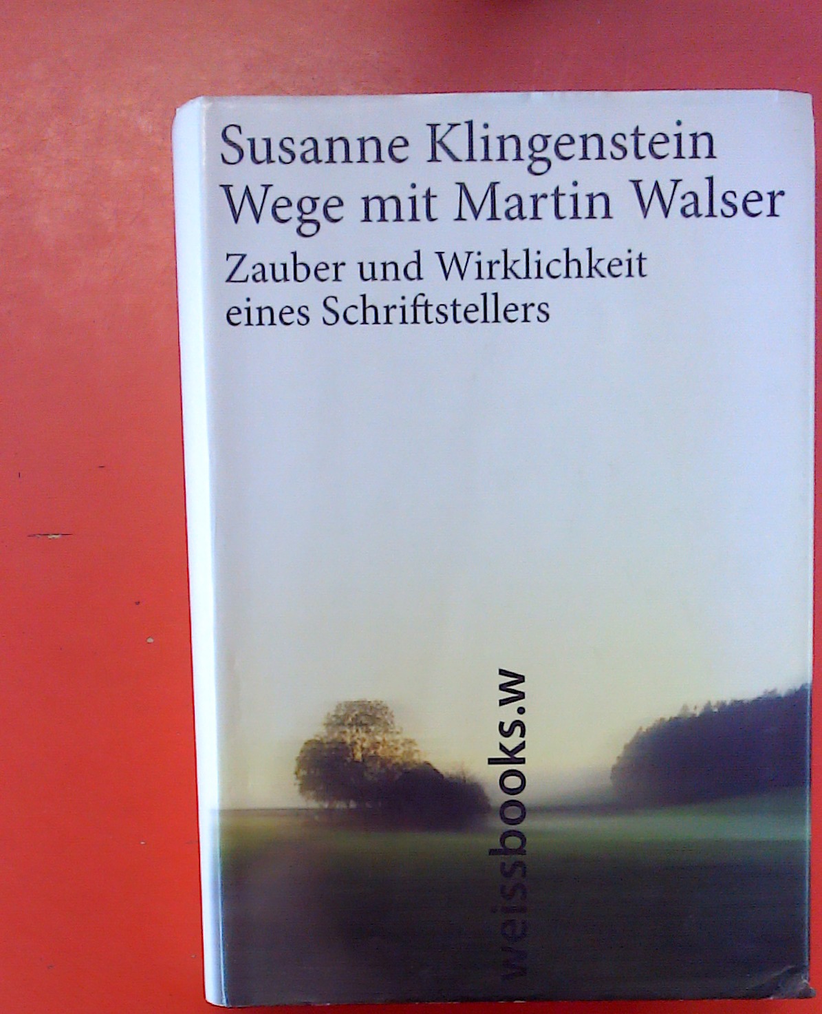 Wege mit Martin Walser - Zauber und Wirklichkeit eines Schriftstellers - Susanne Klingenstein