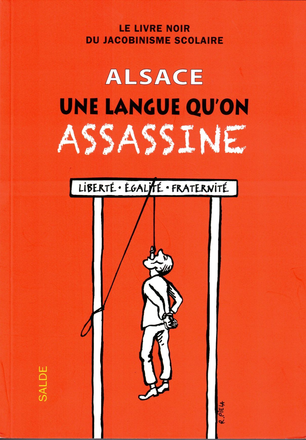 Alsace, une langue qu'on assassine : Le livre noir du jacobinisme scolaire - Bernard Wittmann & François Schaffner (sous la direction de)