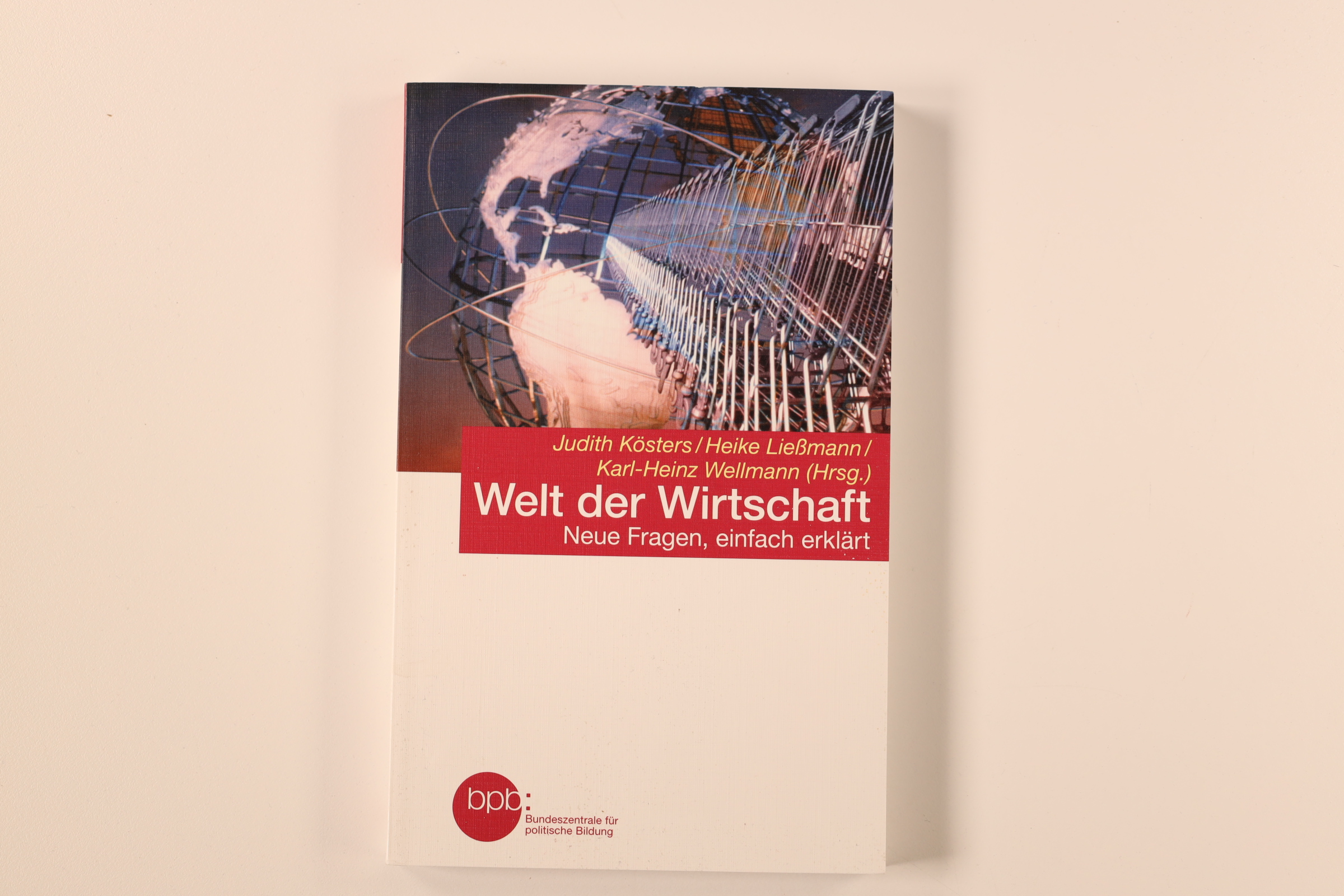 WELT DER WIRTSCHAFT. neue Fragen, einfach erklärt - [Hrsg.]: Kösters, Judith; Ließmann, Heike; Wellmann, Karl-Heinz;