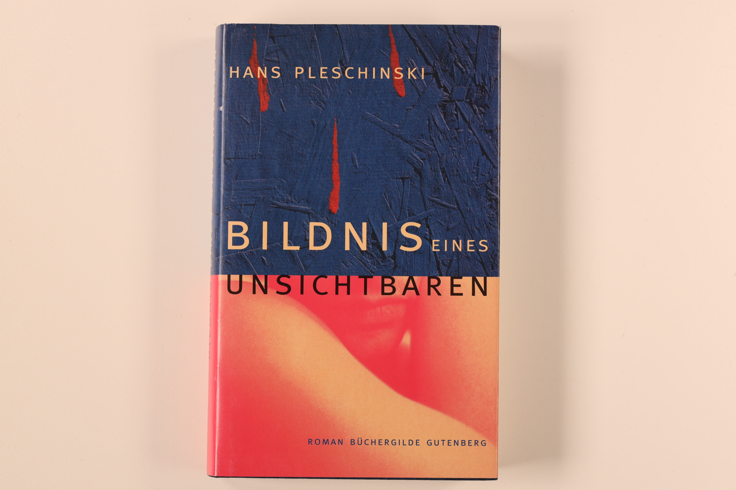 BILDNIS EINES UNSICHTBAREN. Roman - Pleschinski, Hans