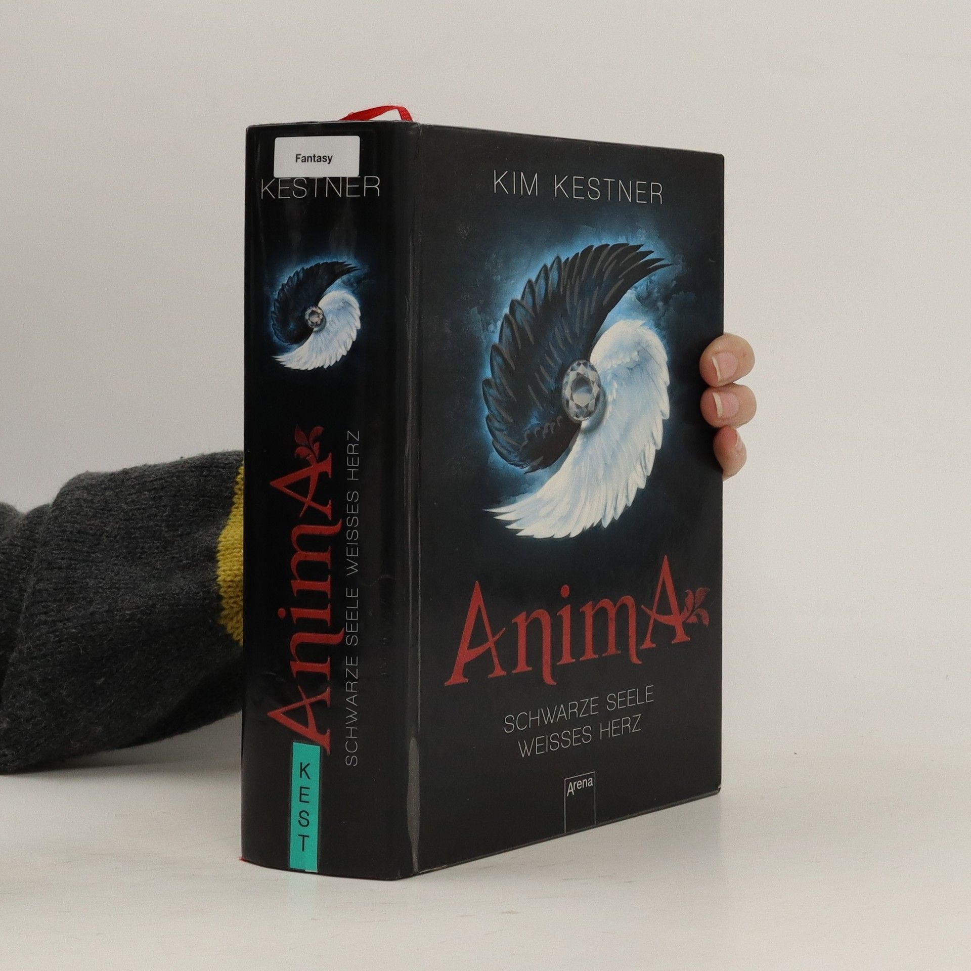 Anima - Kim Kestner