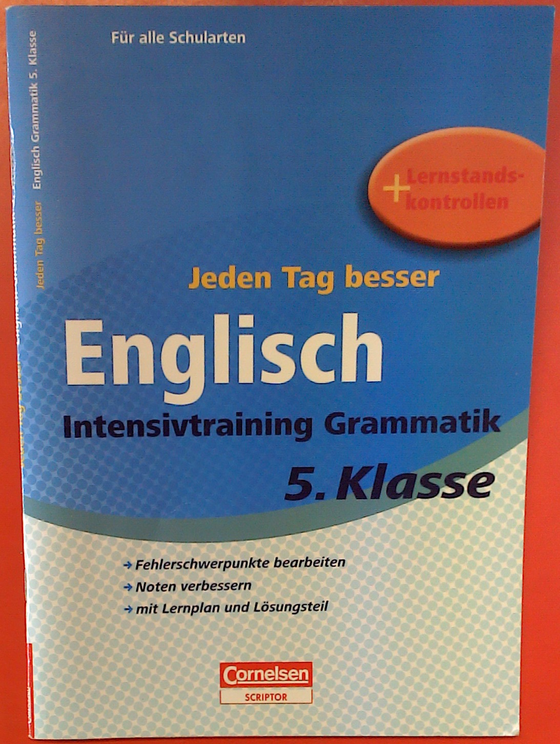 Jeden Tag besser. Englisch. Intensivtraining Grammatik, 5. Klasse, Für alle Schularten + Lernstandskontrolle, 1. Auflage - Thomas Wegner