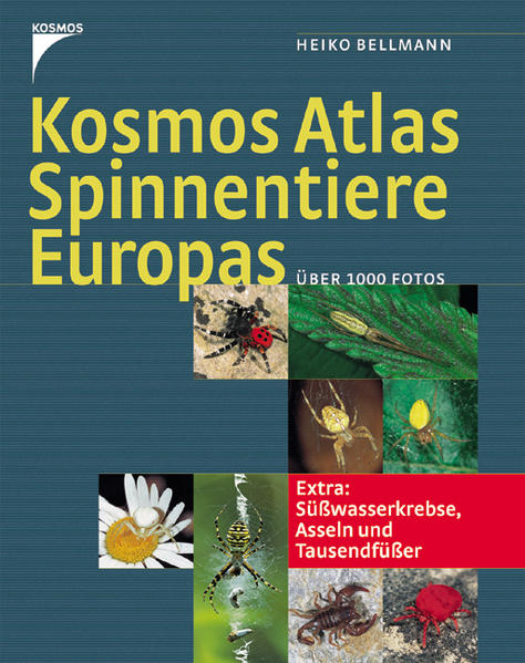 Kosmos Atlas Spinnentiere Europas: Extra: Süsswasserkrebse, Asseln und Tausendfüsser - Bellmann, Heiko