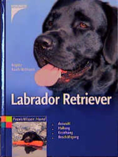 Labrador Retriever - Rauth-Widmann, Brigitte