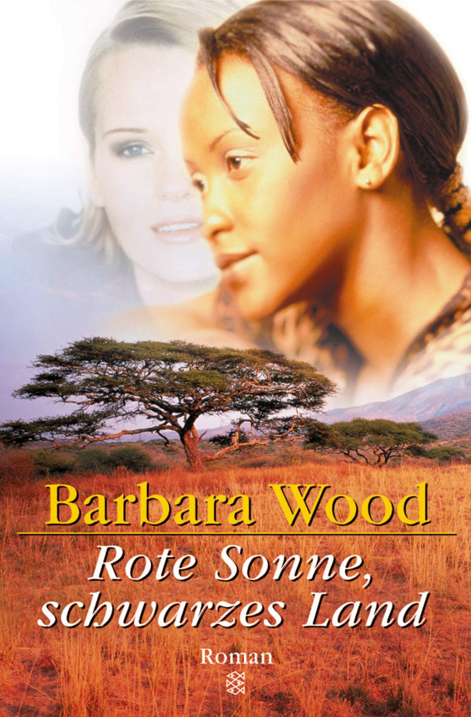 Rote Sonne, schwarzes Land: Roman - Wood, Barbara