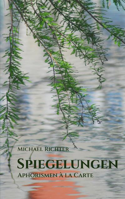 Spiegelungen - Michael Richter