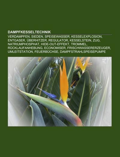 Dampfkesseltechnik - Books LLC