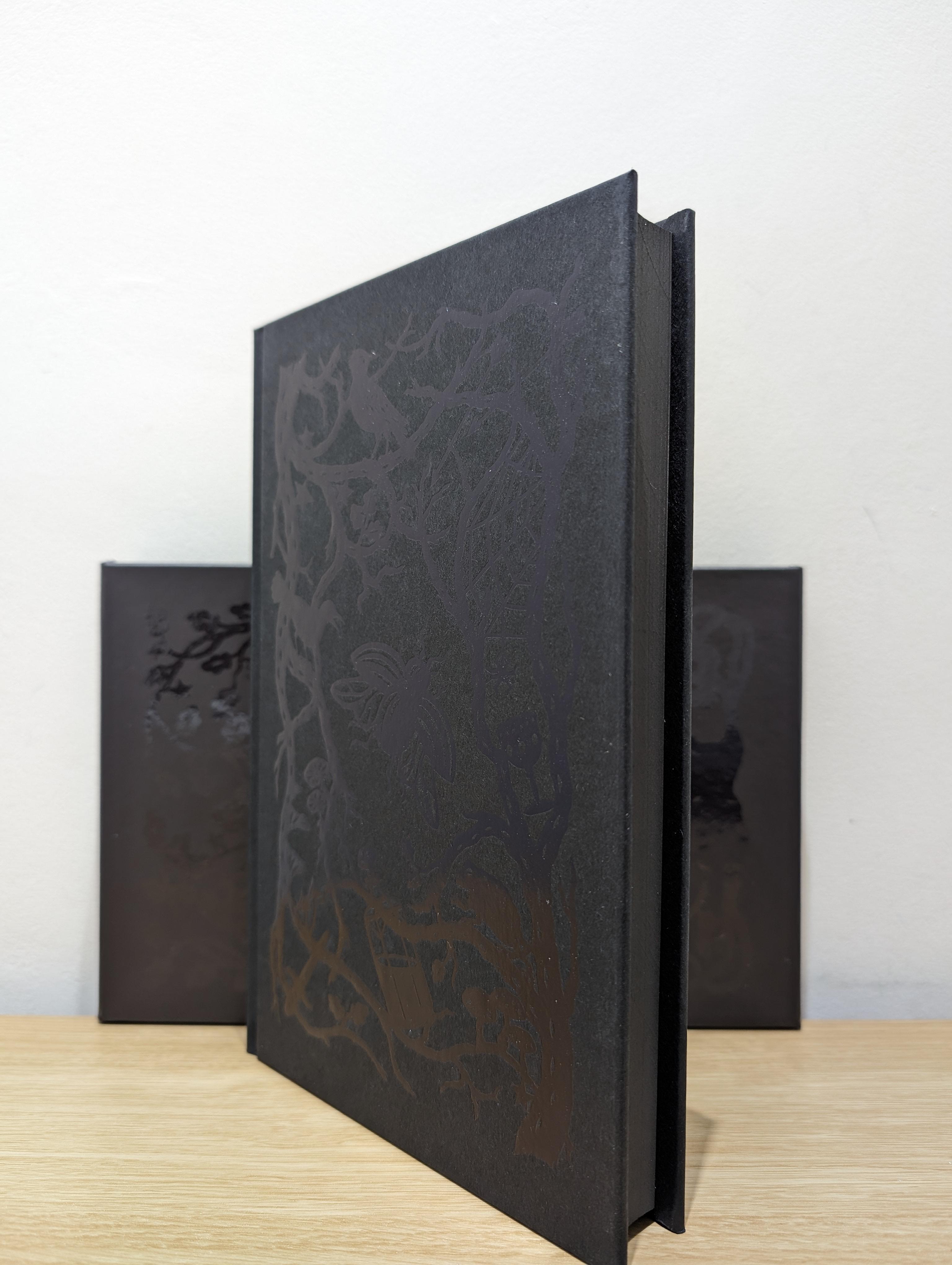 Amazon.com: The Cruel Prince. Special Edition: 9781471415937
