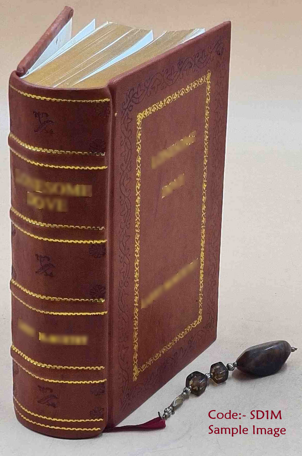 Boericke's New Mannual of Homeopathic Materia Medica with Repertory [Premium Leather Bound] WILLIAM BOERICKE [New] [Hardcover]