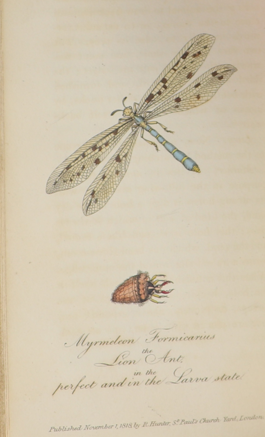 Jane Insect Dialogues on Entomology, in which the Forms and Habits of Insects are ...