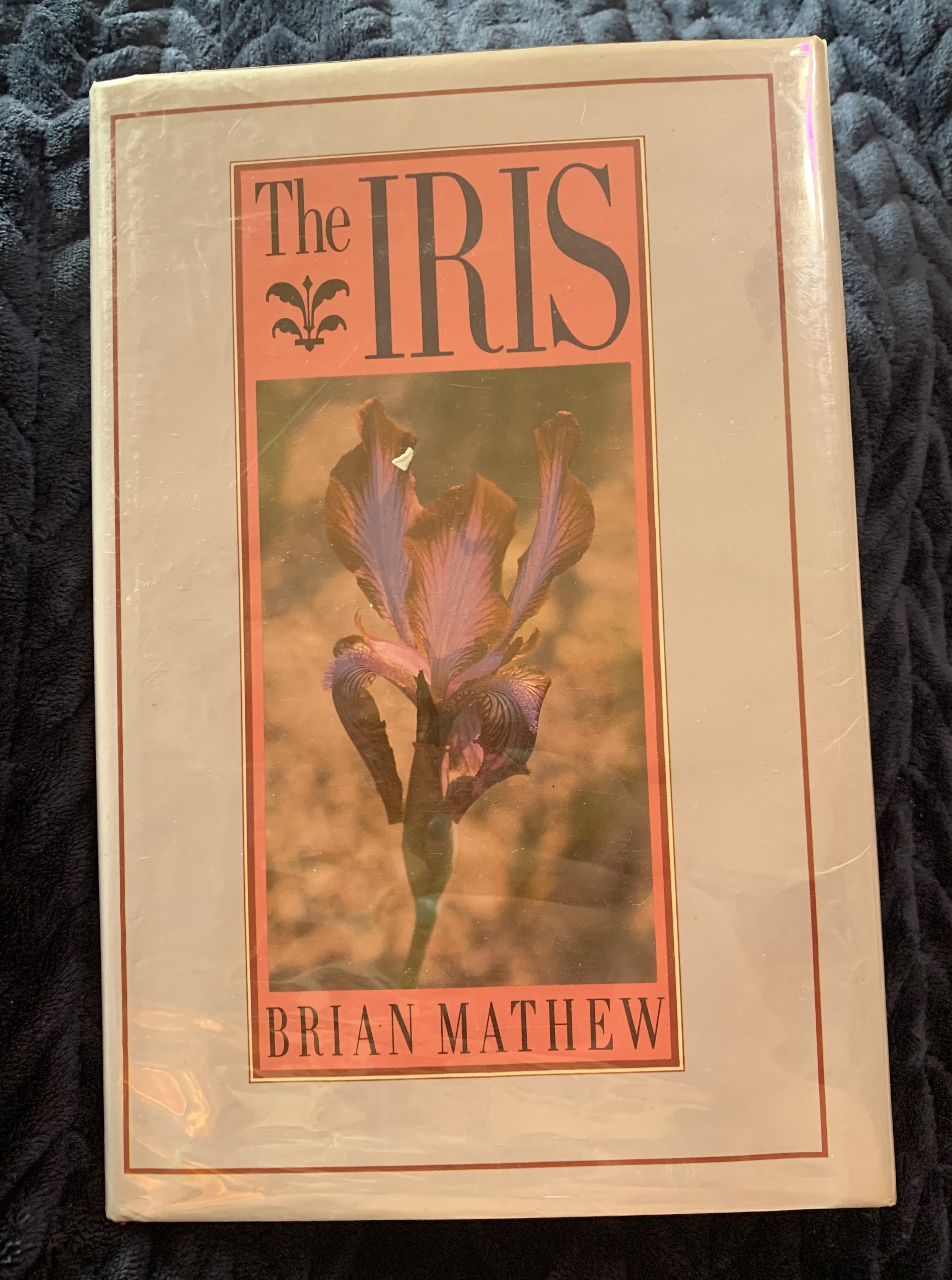 The Iris - Mathew, Brian