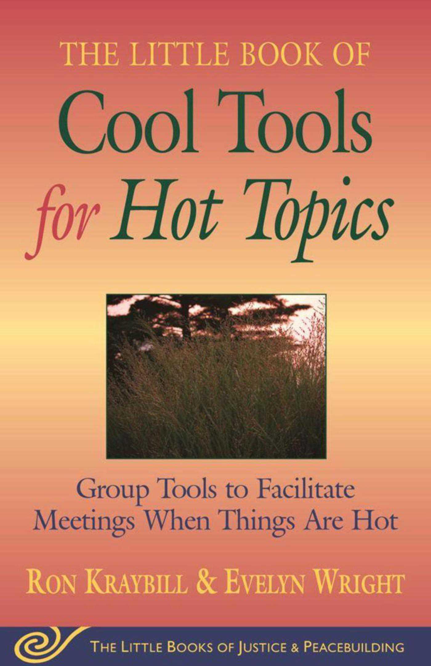 Little Book of Cool Tools for Hot Topics: Group Tools to Facilitate Meetings When Things Are Hot - Kraybill, Ron