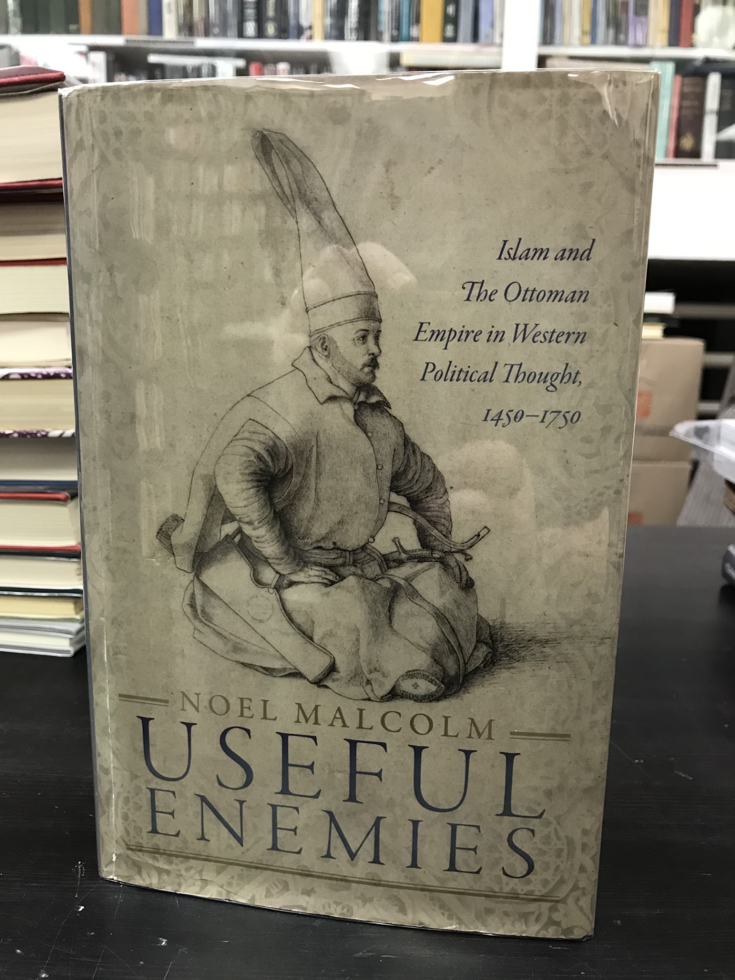 Useful Enemies Islam and The Ottoman Empire in Western Political