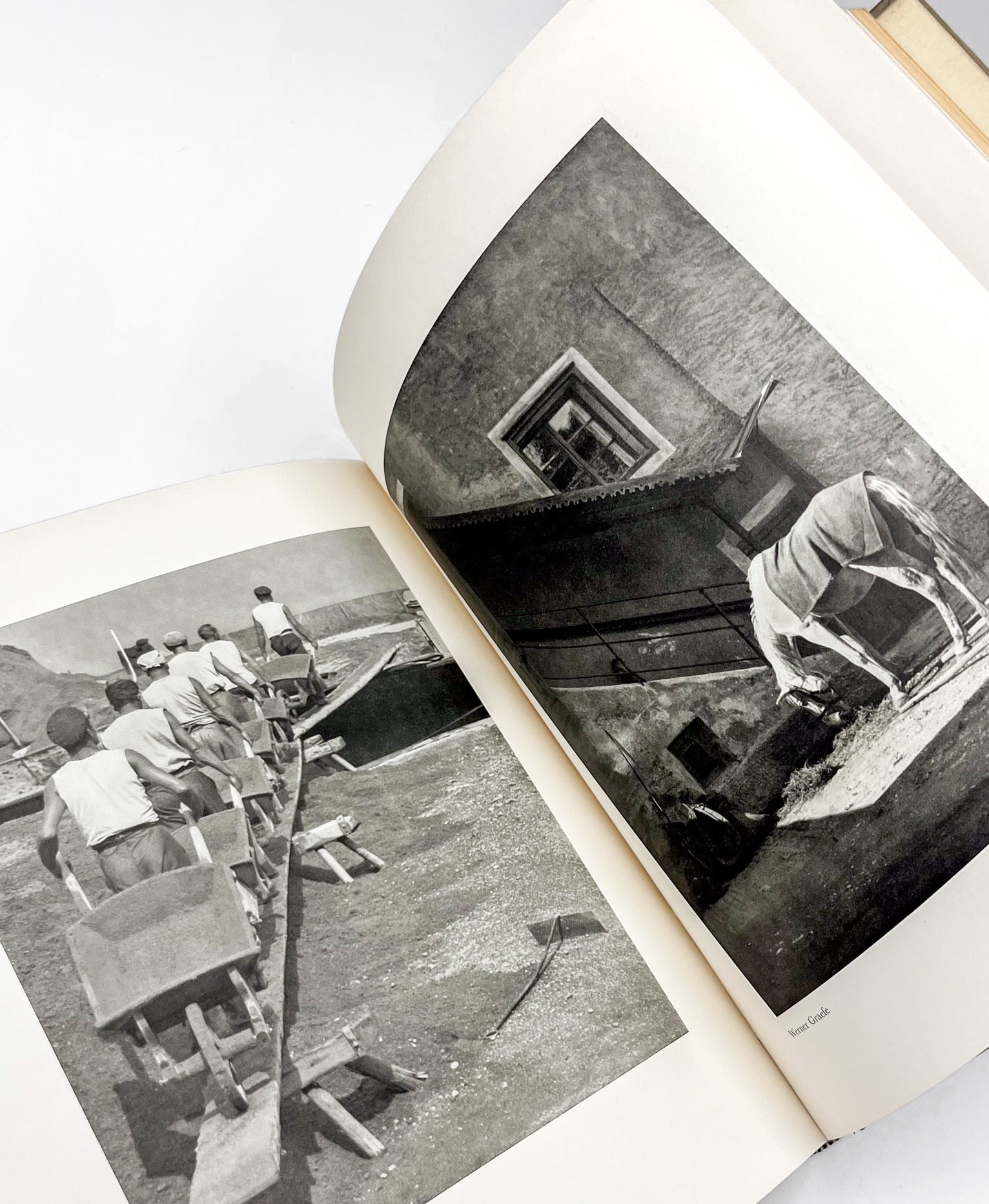 Das Deutsche Lichtbild, First Edition – AbeBooks