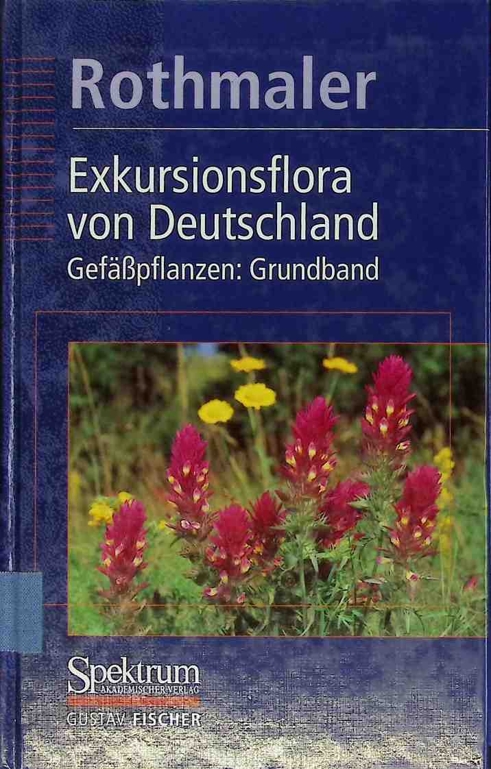 Exkursionsflora von Deutschland - BAND 2: Gefäßpflanzen. - Grundband - Eckehart Jager Manfred Baaler Klaus Werner; Eckehart J. Jäger; Klaus Werner