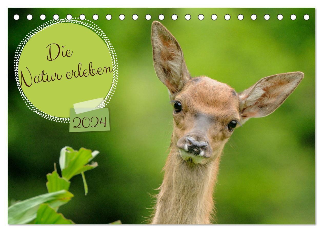 Die Natur erleben (Tischkalender 2024 DIN A5 quer), CALVENDO Monatskalender - Plattner, Jürg