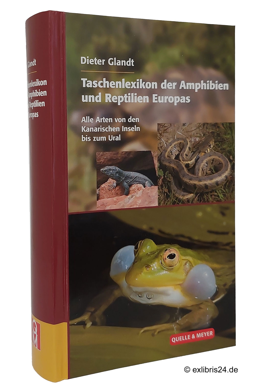 Taschenlexikon der Amphibien und Reptilien Europas : Alle Arten von den Kanarischen Inseln bis zum Ural - Glandt, Dieter