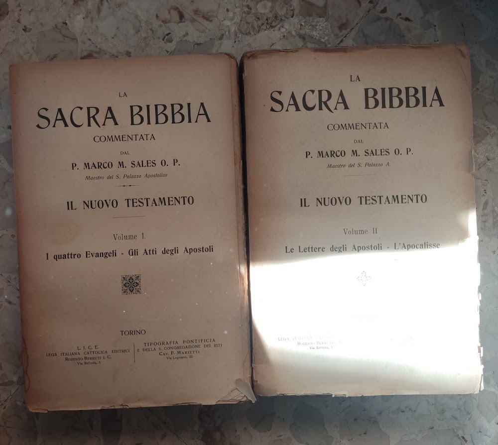 La Sacra Bibbia - Diodati - 2002 - Libri e Riviste In vendita a Monza e  della Brianza