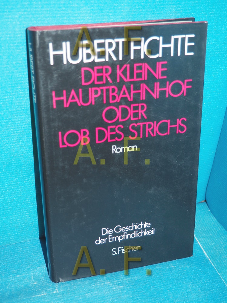Der kleine Hauptbahnhof oder Lob des Strichs : Roman (Fichte, Hubert: Die Geschichte der Empfindlichkeit Band 2) - Fichte, Hubert