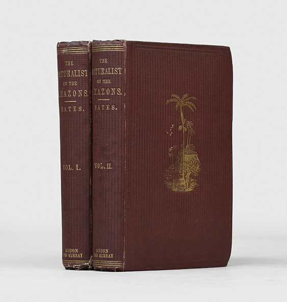 The Naturalist on the River Amazons, a Record of Adventures, Habits of Animals, Sketches of Brazilian and Indian Life, and Aspects of Nature Under the Equator, During Eleven Years of Travel. - BATES, Henry Walter.