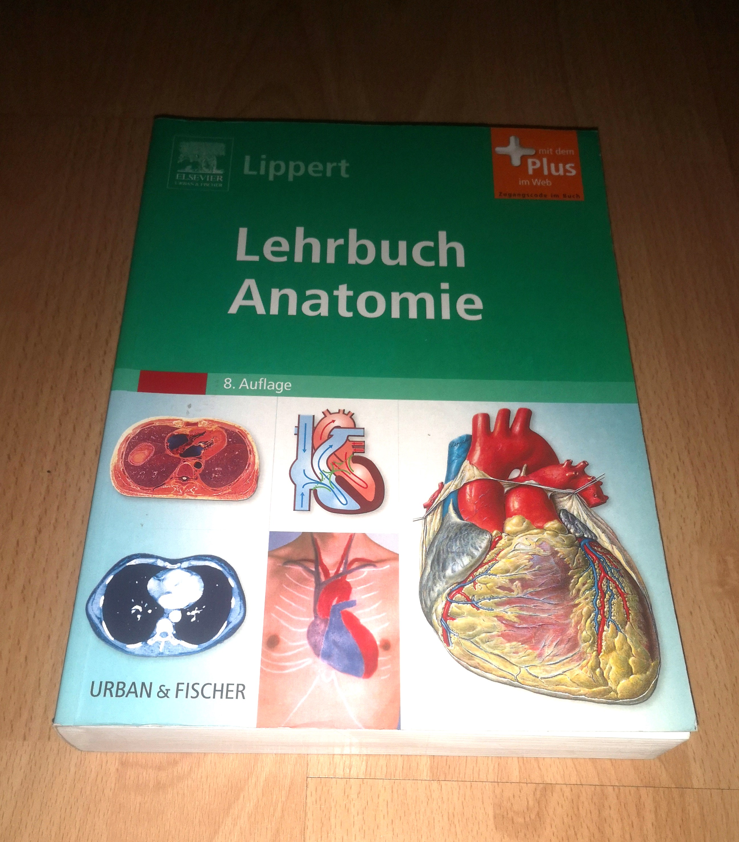 Herbert Lippert, Lehrbuch Anatomie / 8. Auflage - Lippert, Herbert
