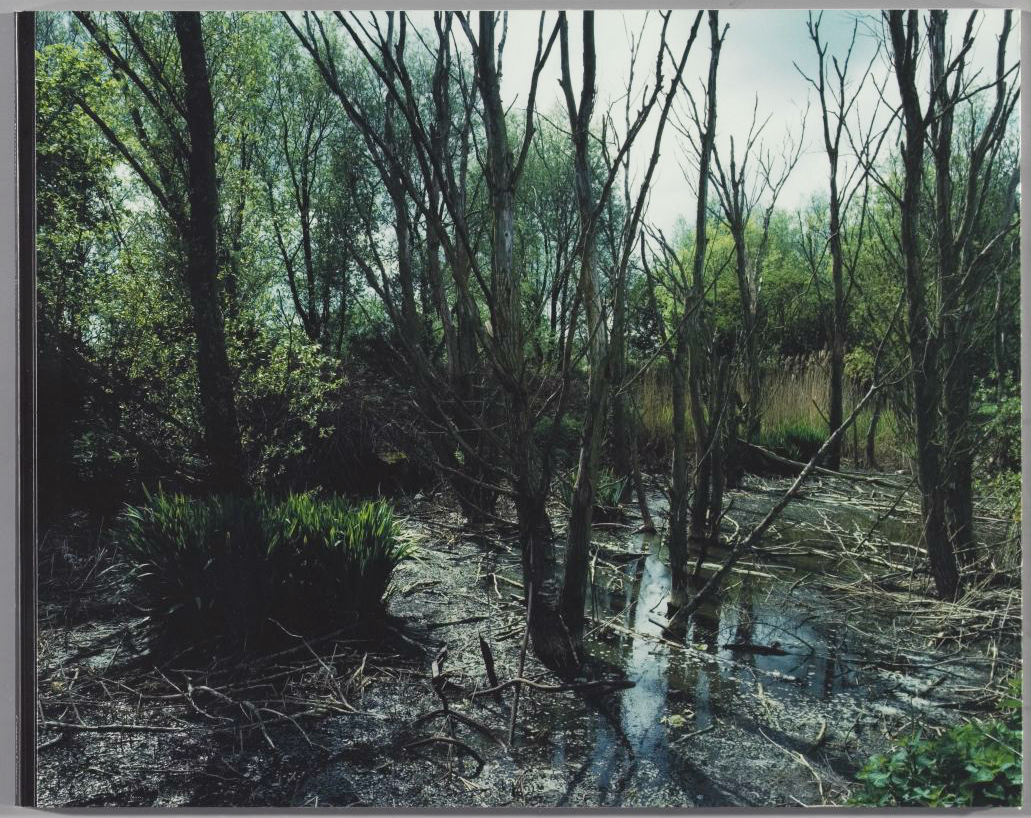 Giflandschap / Poisoned landscape - Berger, Wout