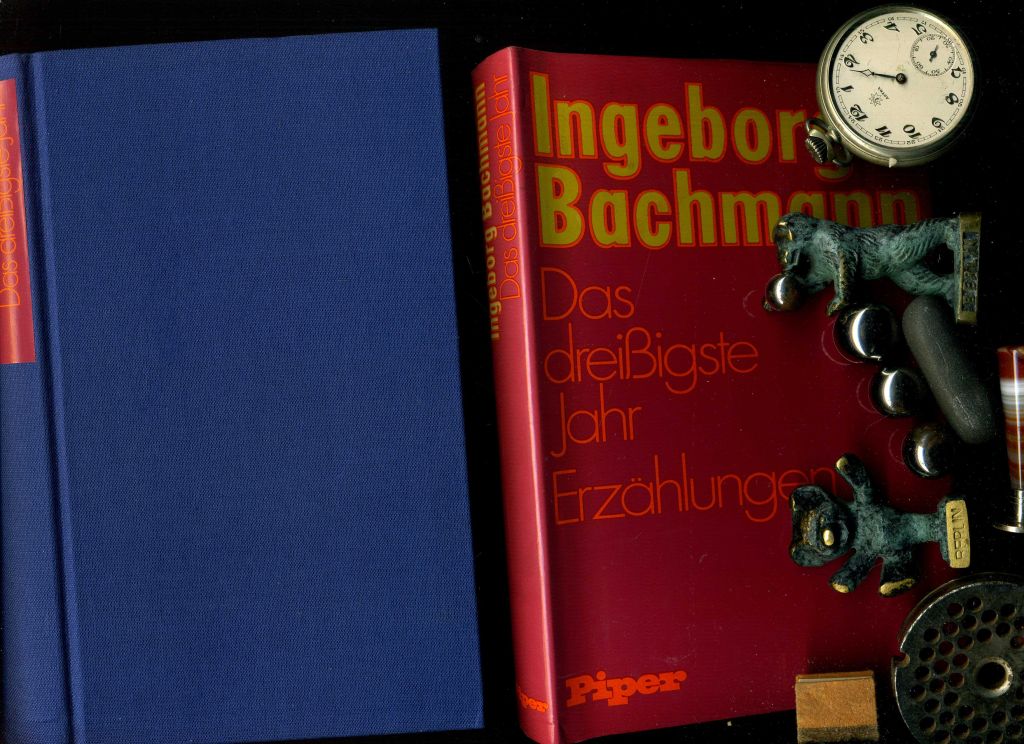 Das dreissigste Jahr. Erzählungen. - Ingeborg Bachmann