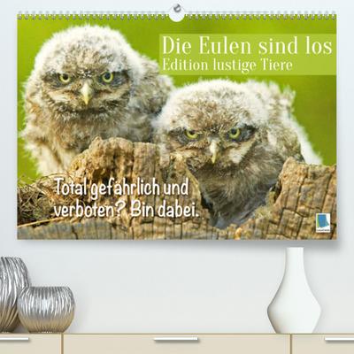 Die Eulen sind los: Edition lustige Tiere (Premium, hochwertiger DIN A2 Wandkalender 2023, Kunstdruck in Hochglanz): Spaß mit Eule, Uhu und Kauz und . (Monatskalender, 14 Seiten ) (CALVENDO Spass) - Calvendo