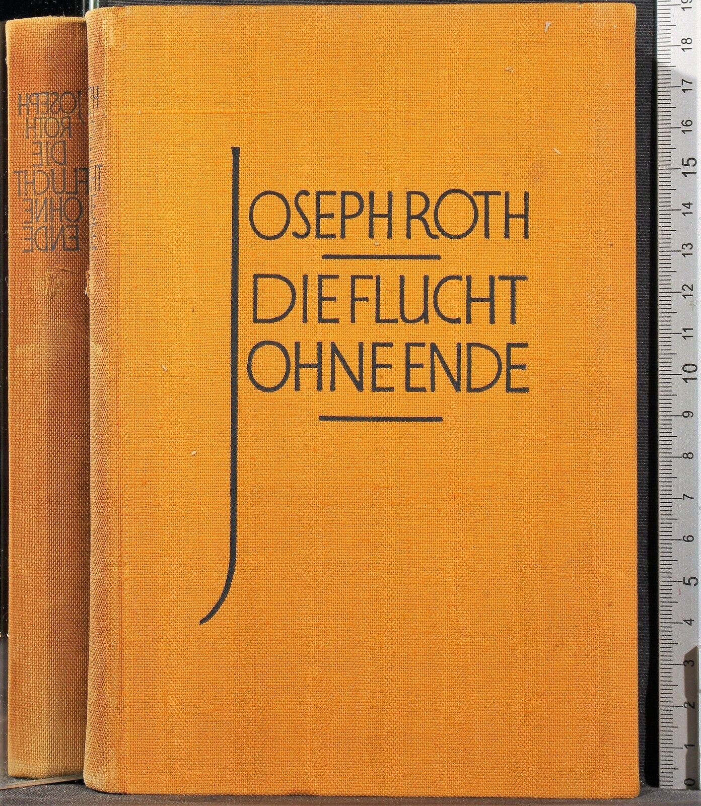 Die flucht ohne ende - Joseph Roth