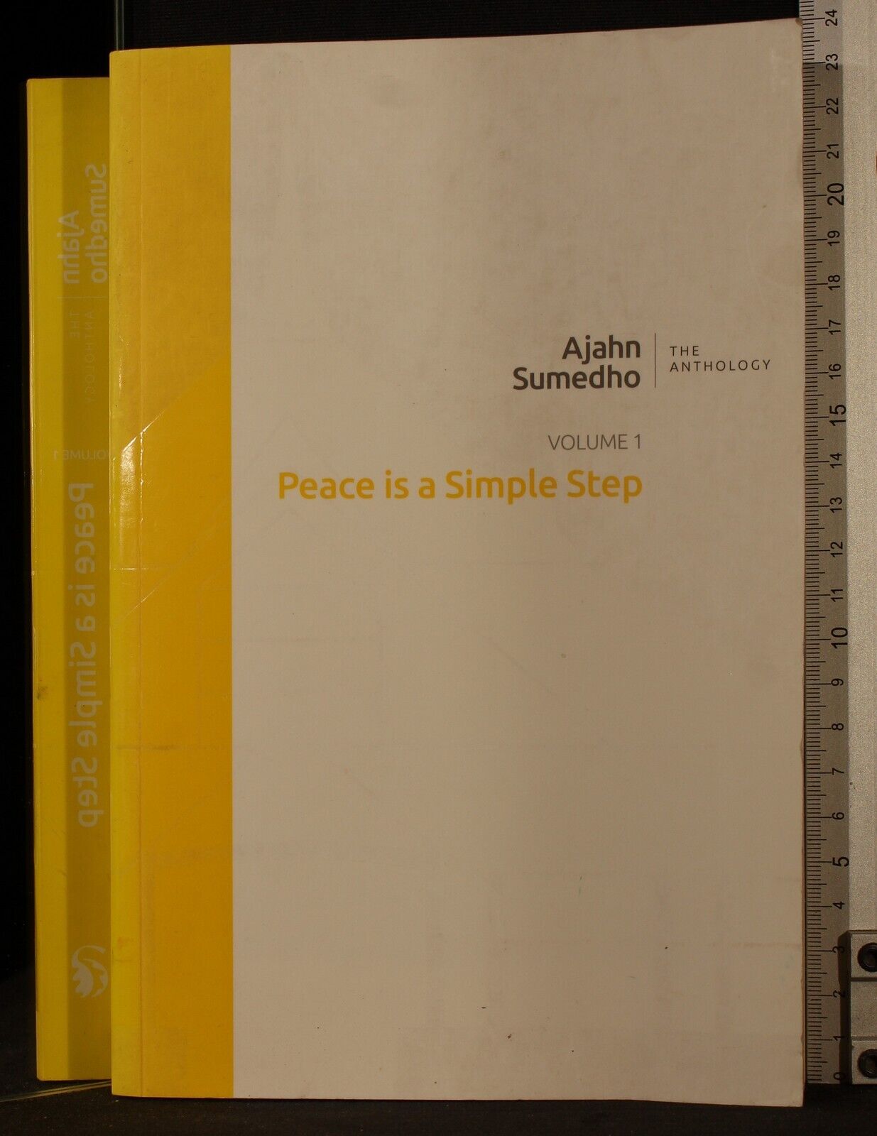 Peace is a Simple Step - Ajahn Sumedho