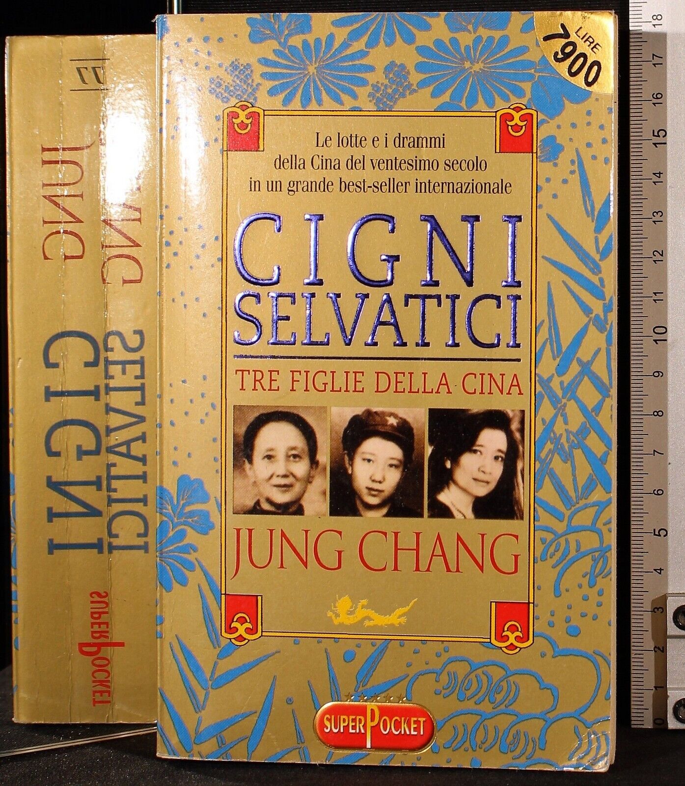 Cigni selvatici. Tre figlie della Cina - Jung Chang