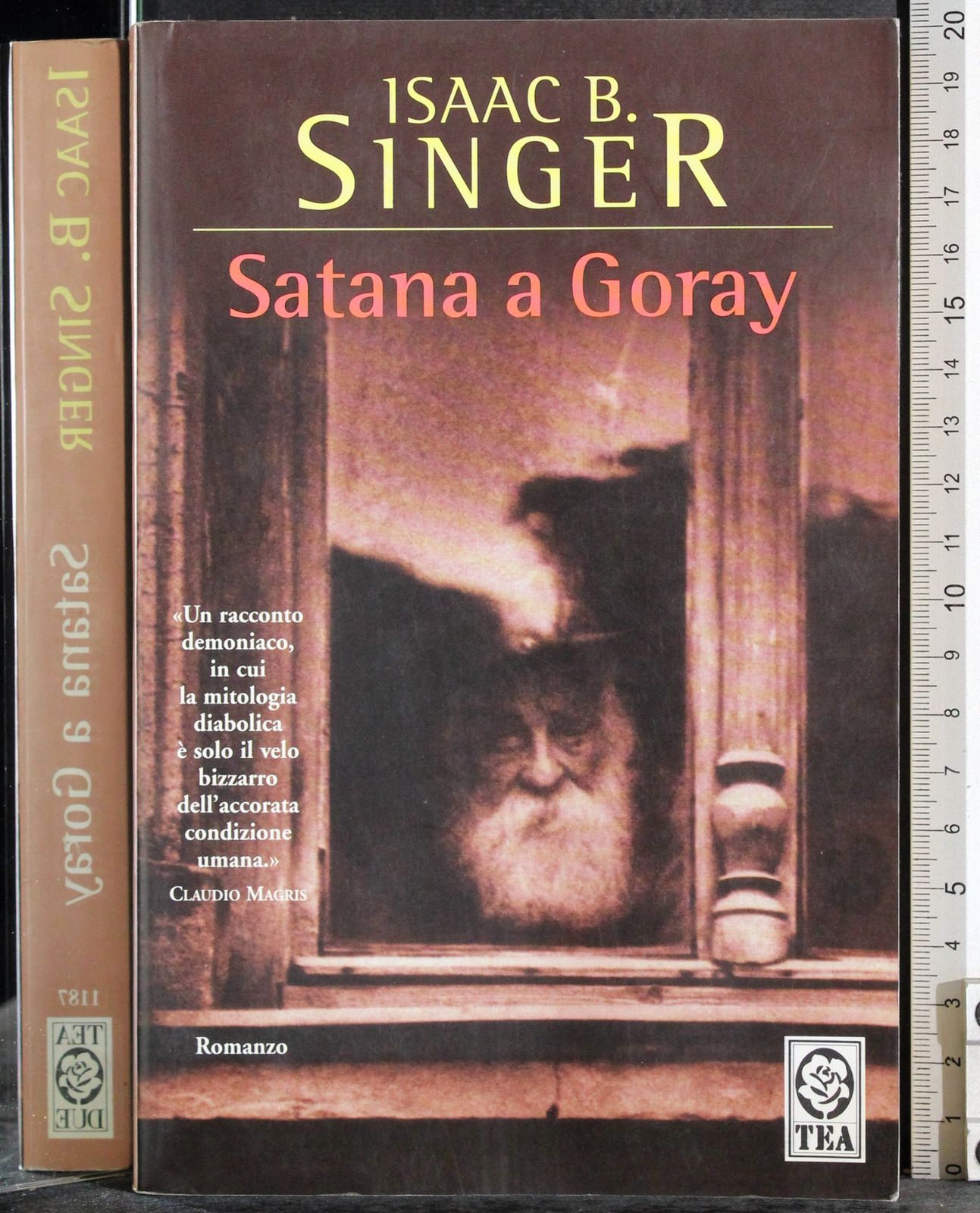 Satana a Goray - Isaac Singer