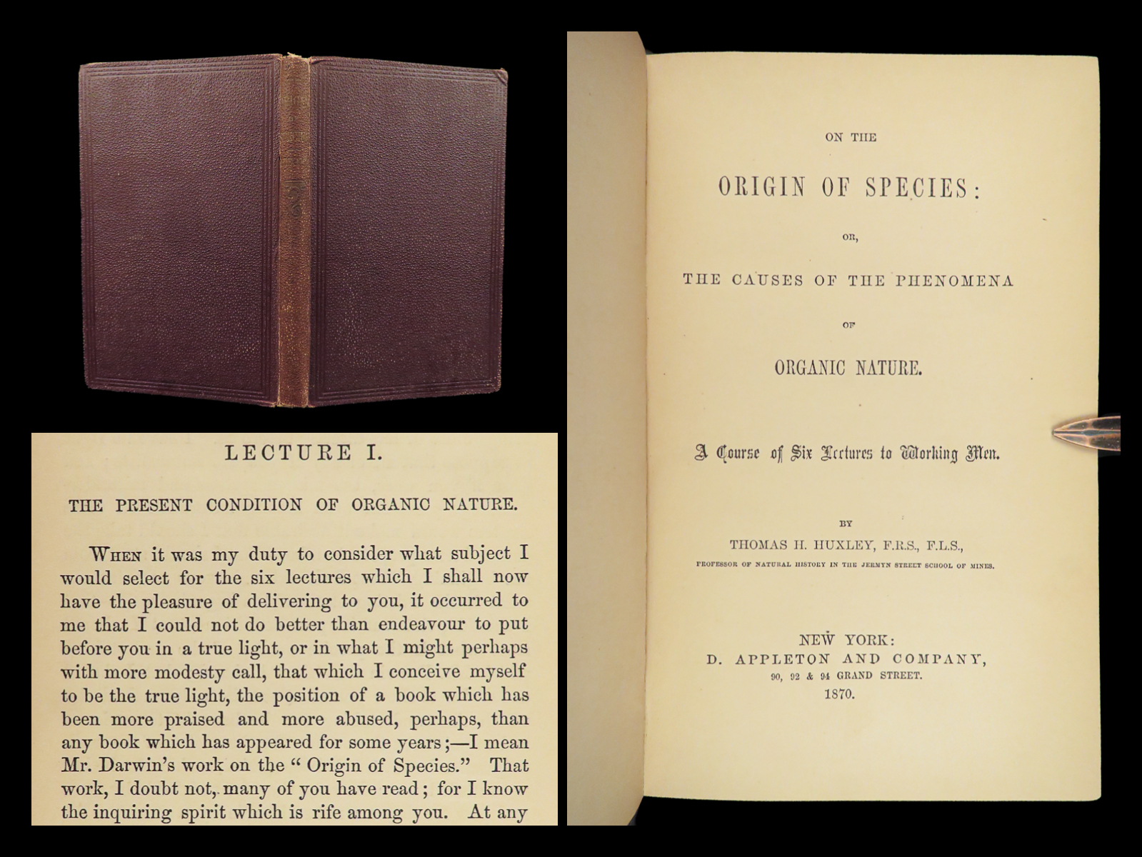 On the origin of species: or, The causes of the phenomena of