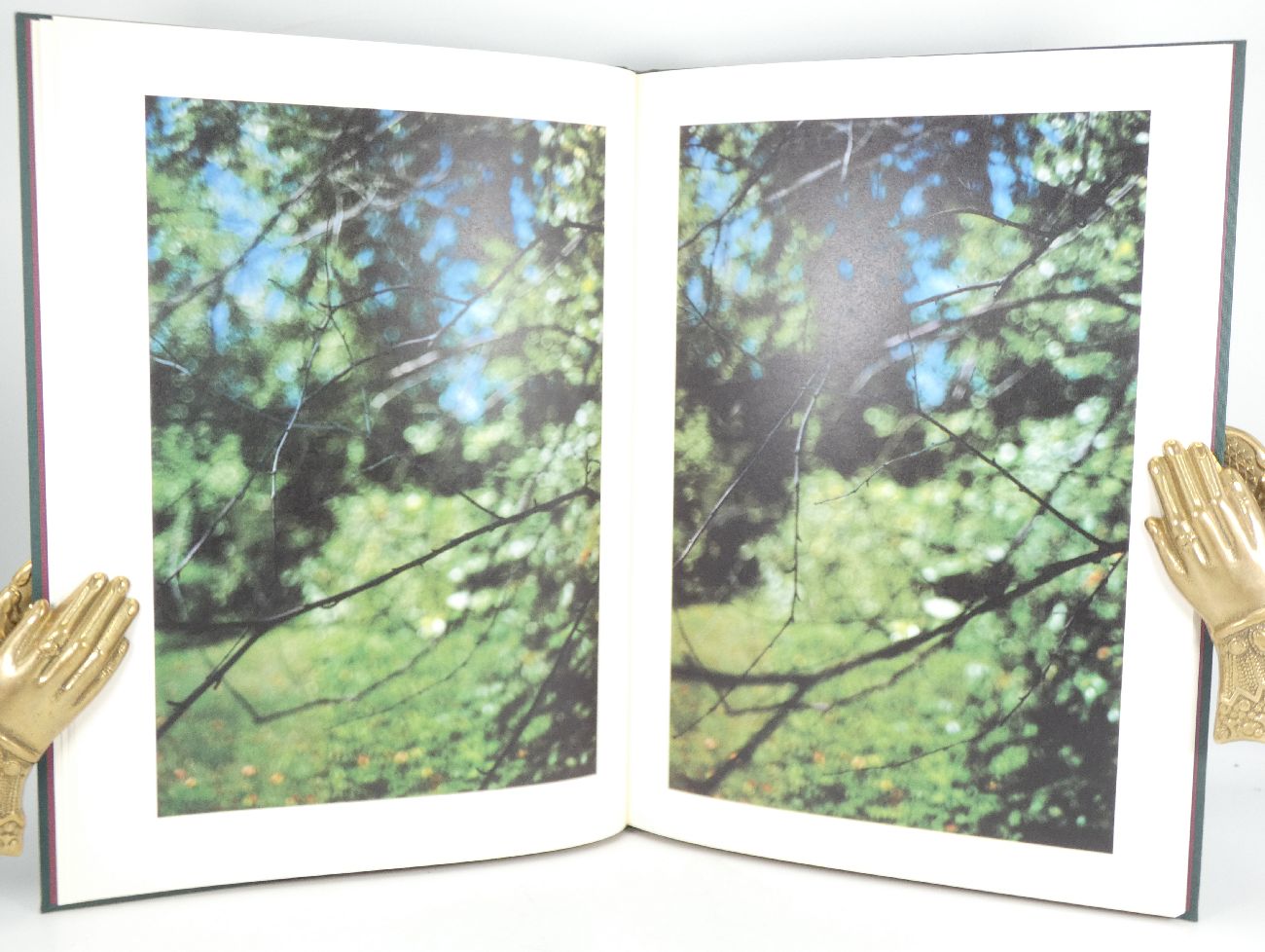Hunter Green by Weifenbach, Terri: Very Good Hard Cover
