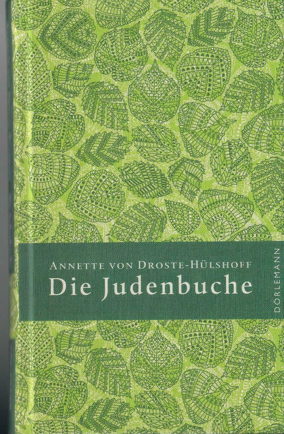 Die Judenbuiche - Ein Sittengemälde aus dem gebirgichten Westfalen; Mit Illustrationen - Reihe 