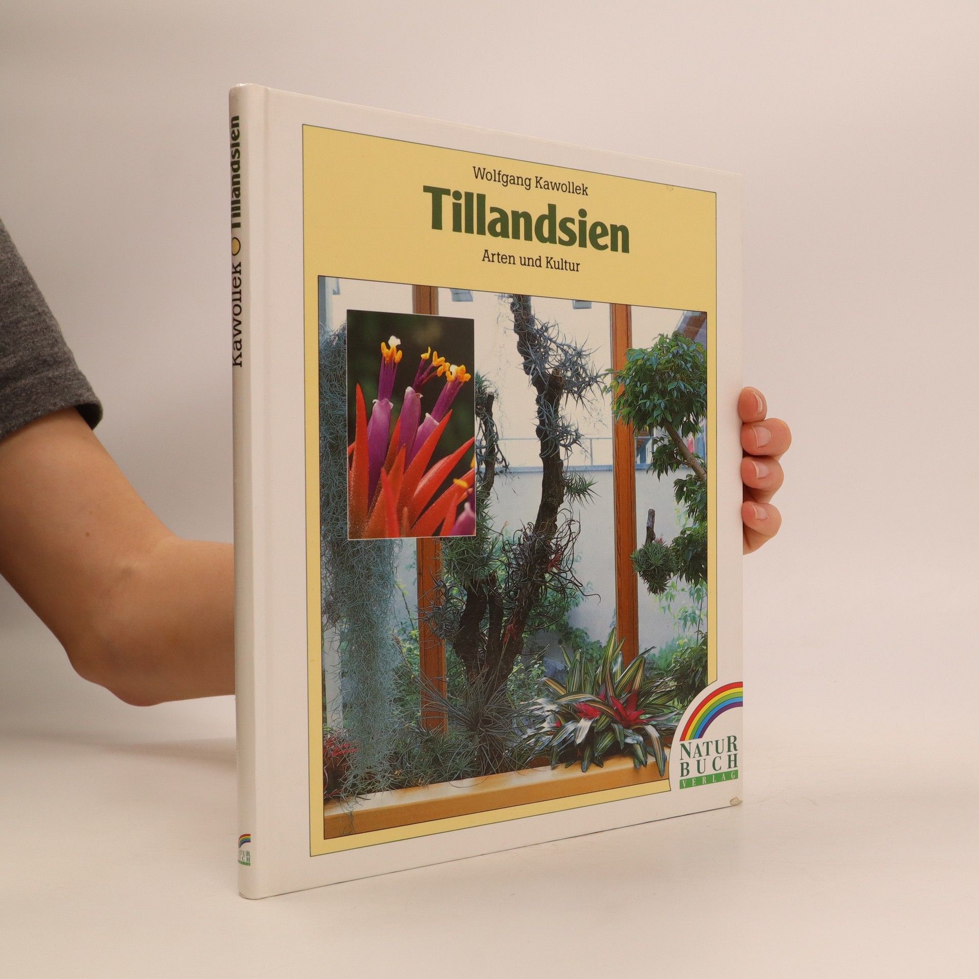 Tillandsien : Arten und Kultur - Wolfgang Kawollek