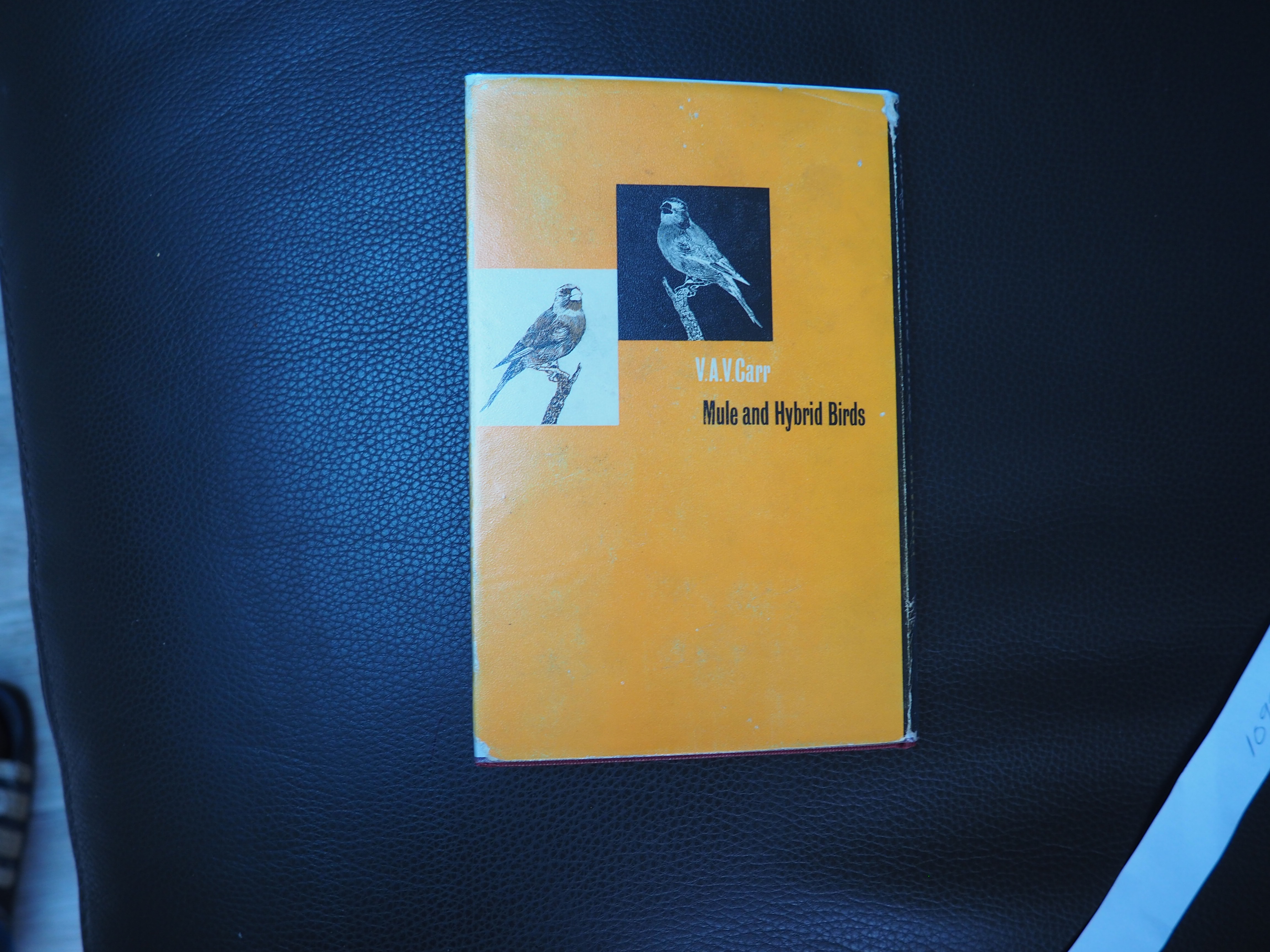 MULE AND HYBRID BIRDS V.A.V. CARR [Assez bon] [Couverture rigide]