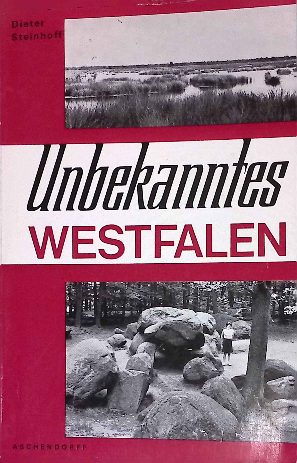 Unbekanntes Westfalen : Entdeckungsreisen entlang d. westfäl. Grenzen. - Steinhoff, Dieter