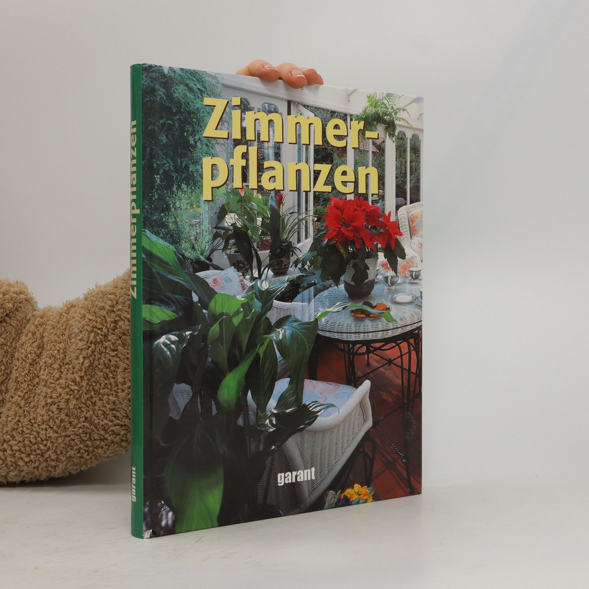 Praxisbuch Zimmerpflanzen - Jane Courtier