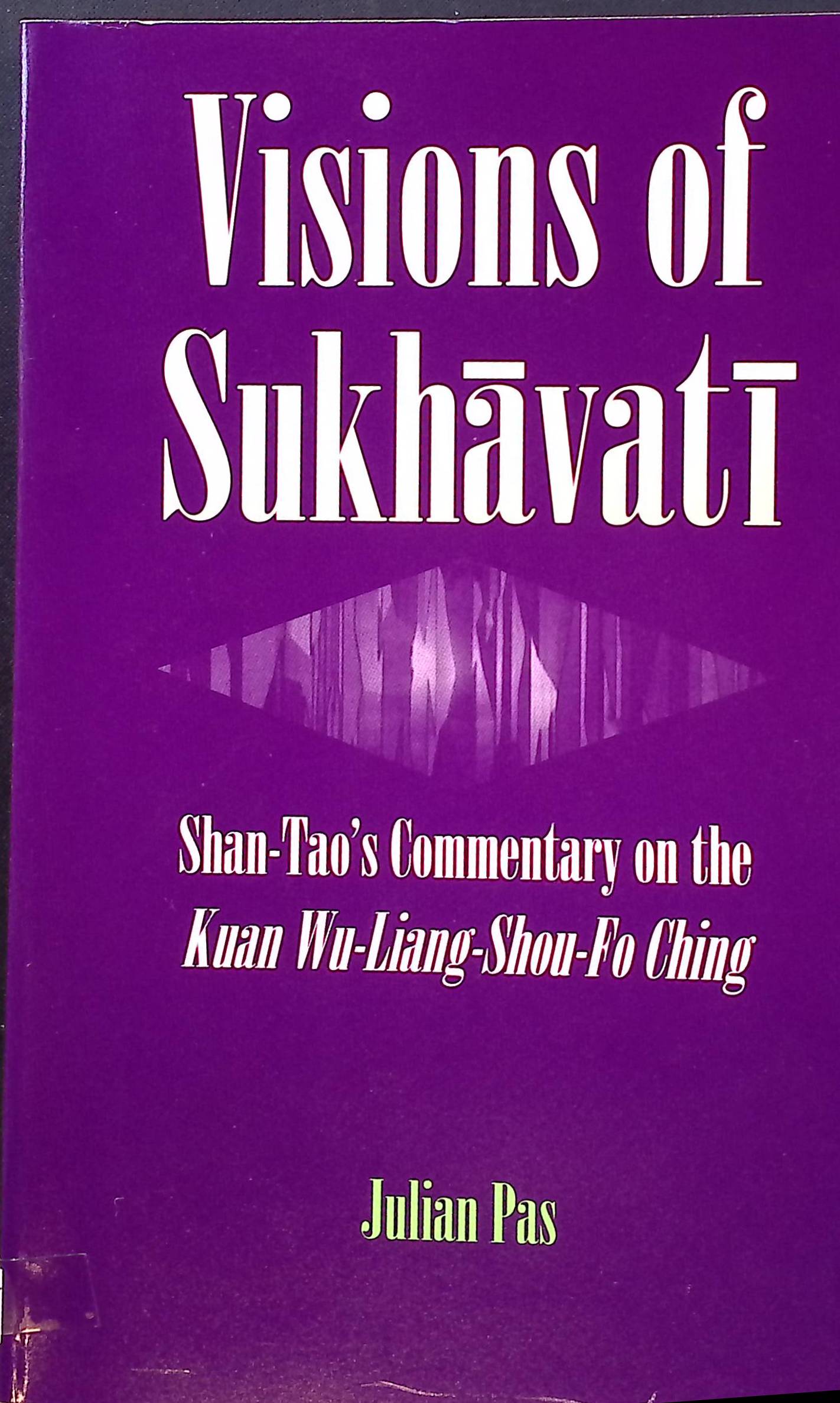 Visions of Sukhavati: Shan-Tao's Commentary on the Kuan Wu-Liang Shou-Fo Ching SUNY Series in Buddhist Studies - Pas, Julian F.