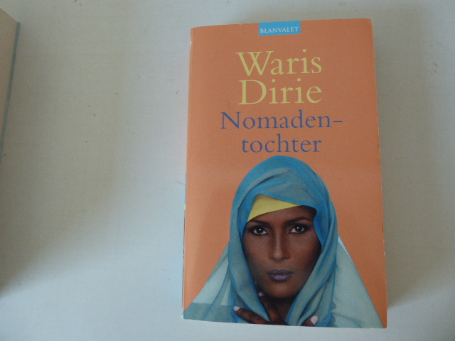 Die Wärme eines Sommers. Roman. TB - Marcia Willett