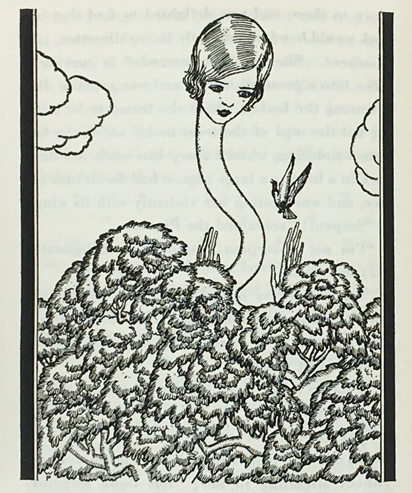 Alice's Adventures in Wonderland. Illustrations by Willy Pogany.