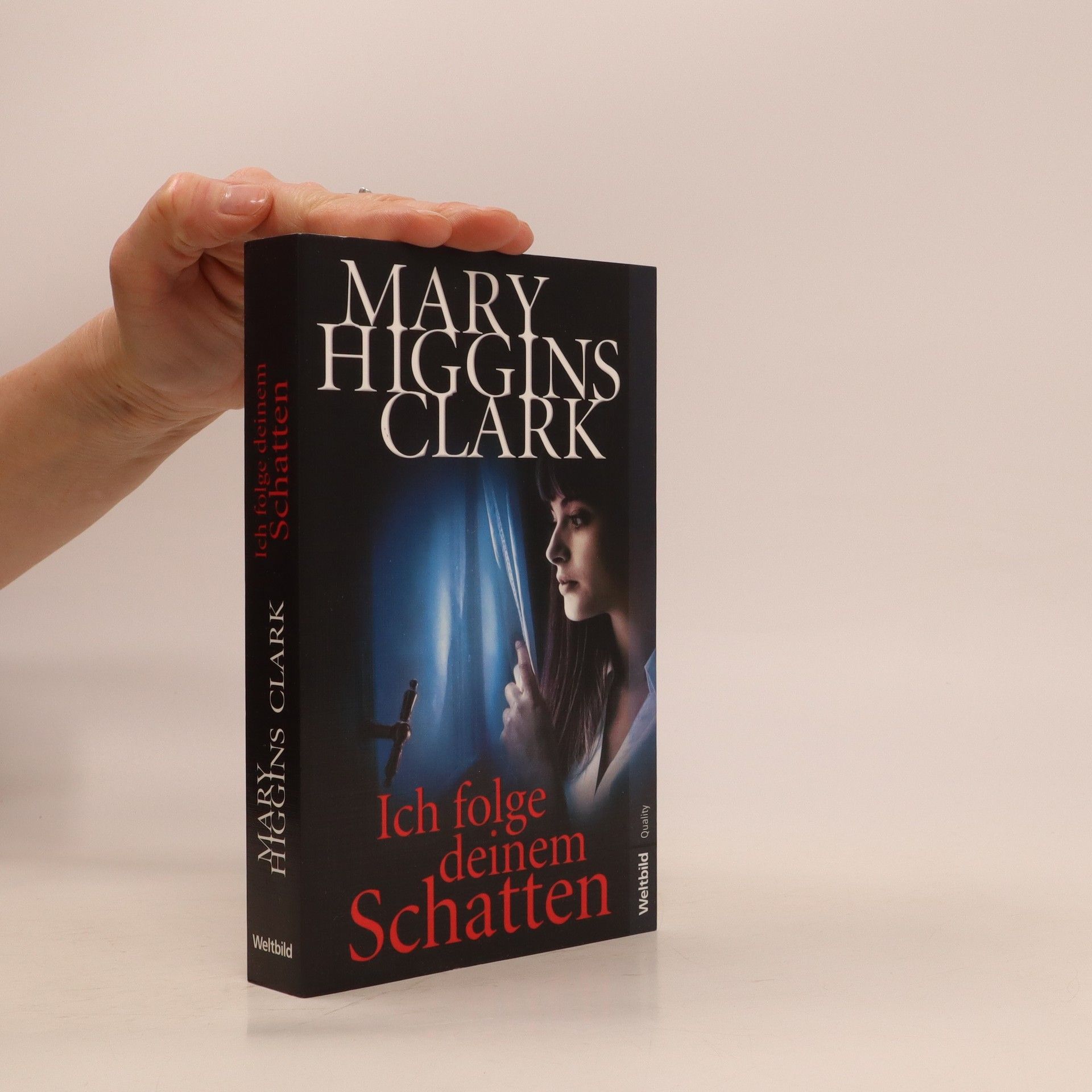 Ich folge deinem Schatten - Mary Higgins Clark