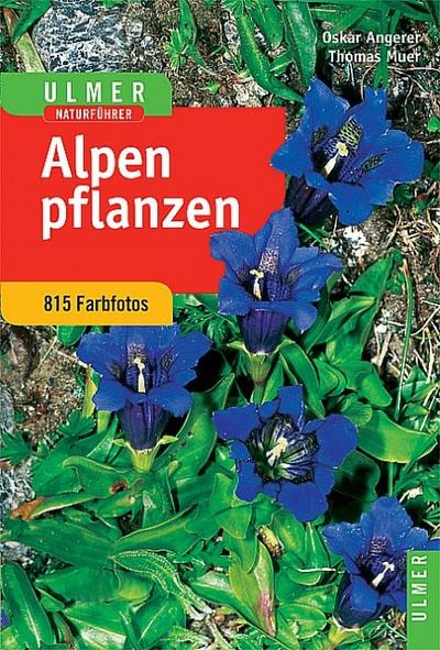 Alpenpflanzen - Thomas Muer