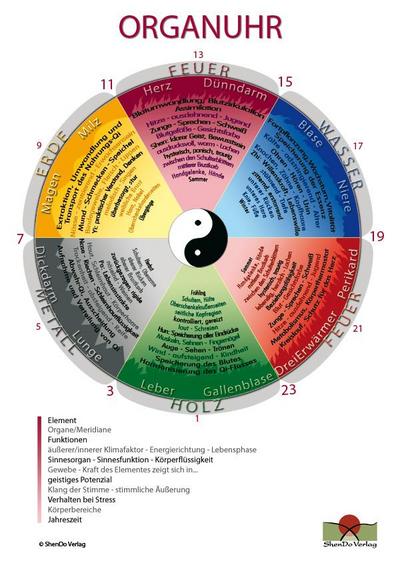 Organuhr Schaubild DIN A2 : Schaubild für den Unterricht und die Praxis - Nirgun W. Loh