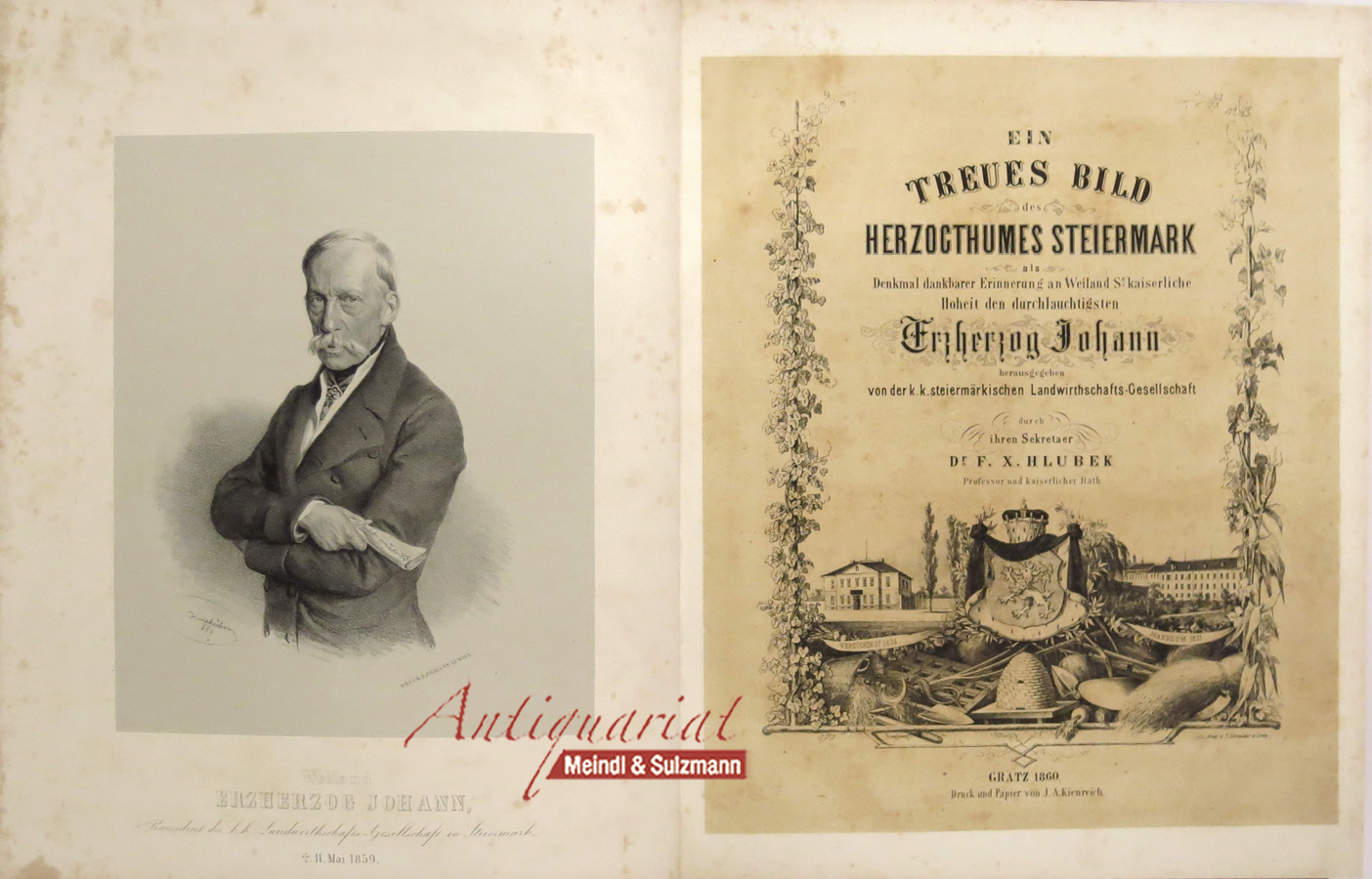 Ein treues Bild des Herzogthumes Steiermark als Denkmal dankbarer ...