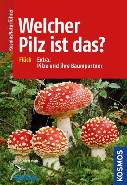 Welcher Pilz ist das?: Extra. Pilze und ihre Baumpartner - Flück, Markus